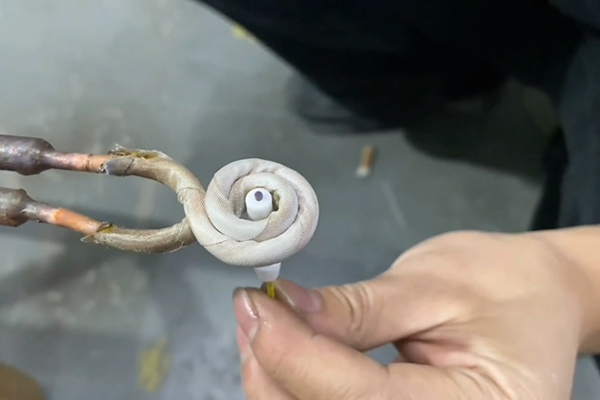 lO(sh)ֳʽlC(j)ͨžӴ